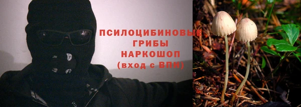 ешки Заводоуковск