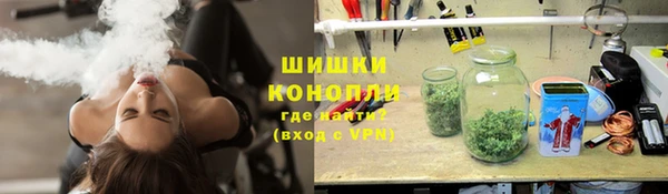 крисы Зеленокумск