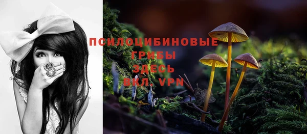 ешки Заводоуковск