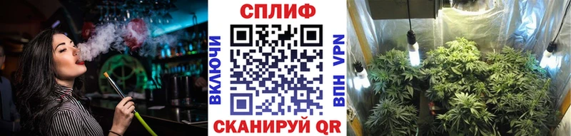 Купить  Зерноград  Канабис White Widow 